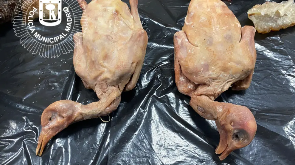 ¿Comer carne de paloma puede tener riesgos para la salud?